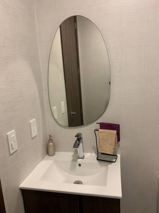 Confort Suite La Carolina Quito Dış mekan fotoğraf